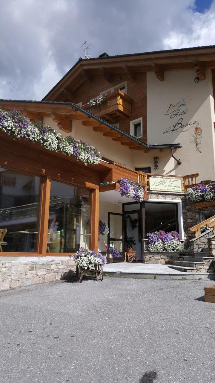 Hotel Del Bosco 利维尼奥 外观 照片